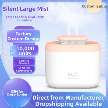 Gamyklinis didelės talpos dvigubo purškimo drėkintuvas, buitinis, naujas, mini, 3,3 l, spalvingas, mažas, purškiamas oro valytuvas