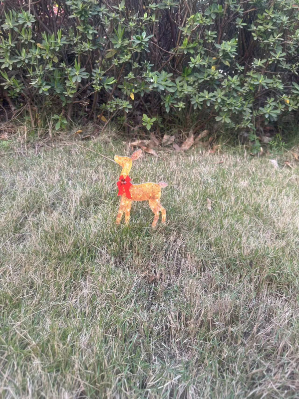 Kalėdiniai sprogimai tarpvalstybiniu mastu, elnių kiemo grindų dekoravimas, sodo veja, prekybos centro dekoravimas, namų dekoravimas
