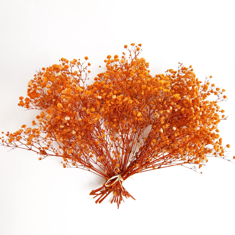 Maža „Gimsophila“ puokštė amžinoje gėlėje, kūrybinga mini džiovintų gėlių dovanų dėžutė vestuvėms, kurioje laikomos gėlės, namų dekoravimas