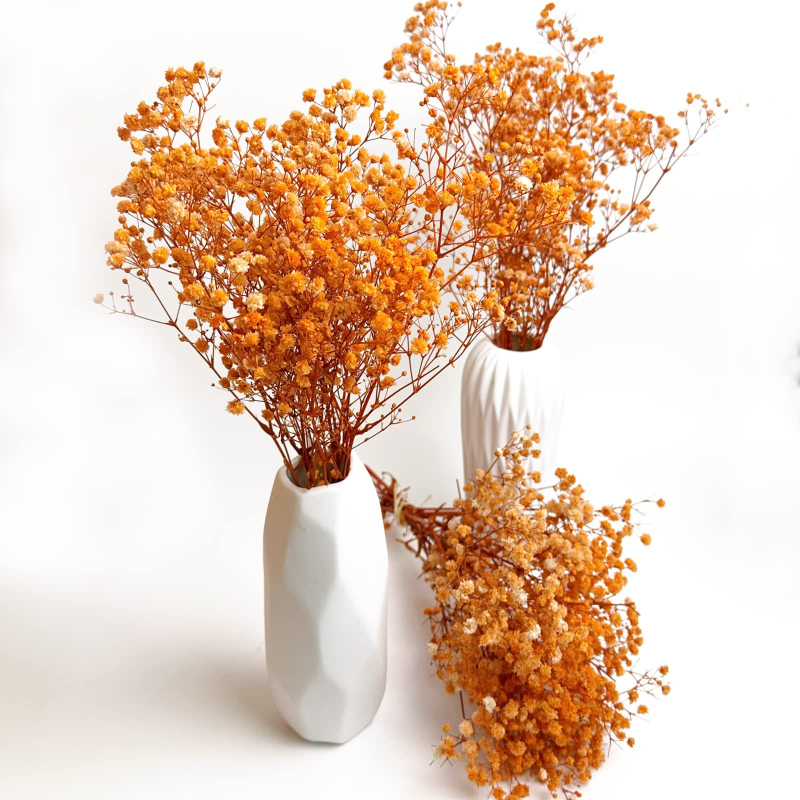 Maža „Gimsophila“ puokštė amžinoje gėlėje, kūrybinga mini džiovintų gėlių dovanų dėžutė vestuvėms, kurioje laikomos gėlės, namų dekoravimas