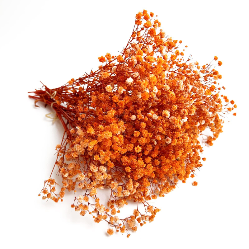 Maža „Gimsophila“ puokštė amžinoje gėlėje, kūrybinga mini džiovintų gėlių dovanų dėžutė vestuvėms, kurioje laikomos gėlės, namų dekoravimas