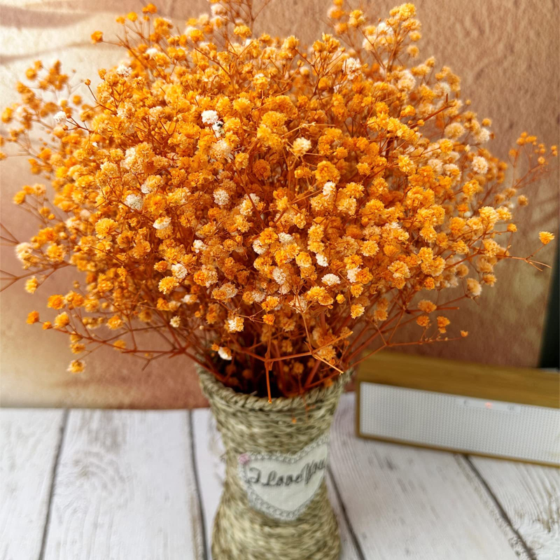 Maža „Gimsophila“ puokštė amžinoje gėlėje, kūrybinga mini džiovintų gėlių dovanų dėžutė vestuvėms, kurioje laikomos gėlės, namų dekoravimas