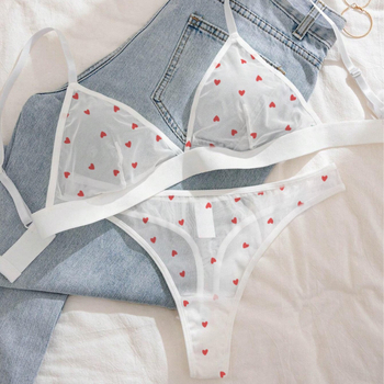 Σετ σέξι, διαφανή εσώρουχα με τριγωνικό κύπελλο και τυπωμένο δίχτυ σε ευρωπαϊκό και αμερικανικό σχέδιο με διασυνοριακή αγάπη