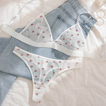 Σετ σέξι, διαφανή εσώρουχα με τριγωνικό κύπελλο και τυπωμένο δίχτυ σε ευρωπαϊκό και αμερικανικό σχέδιο με διασυνοριακή αγάπη