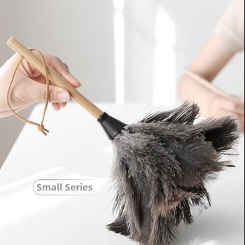 Ξεσκονόπανο αυτοκινήτου, σκουπάκι σκόνης κρεβατιού, φυσικό ξεσκονόπανο από φτερά στρουθοκαμήλου, μικρό μίνι ξεσκονόπανο καθαρισμού