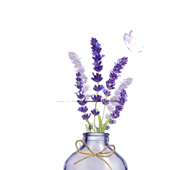 Σετ 4 τεμαχίων μωβ λεβάντα κουρτίνα μπάνιου Home Sweet απορροφητικό χαλάκι μπάνιου κάλυμμα τουαλέτας χαλάκι σε σχήμα U για πόδια