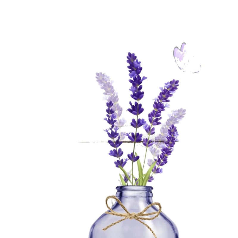 4 darabos lila levendula zuhanyfüggöny szett, otthonra, édes fürdőszobába, nedvszívó fürdőszőnyeg, WC-huzat, szőnyeg, U alakú lábtörlő