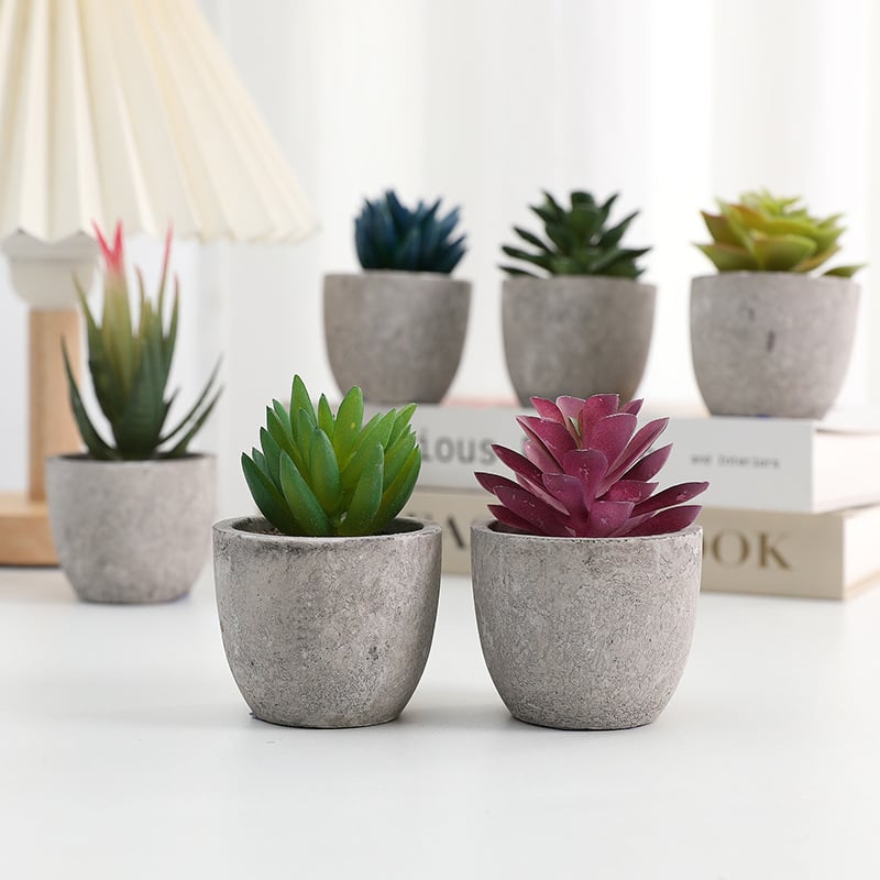 Simuliacinis vazoninis minkštimas, mėsingas dirbtinis bonsai iš „Amazon“ naujo darbalaukio kraštovaizdžio modeliavimo augalų didmeninė prekyba