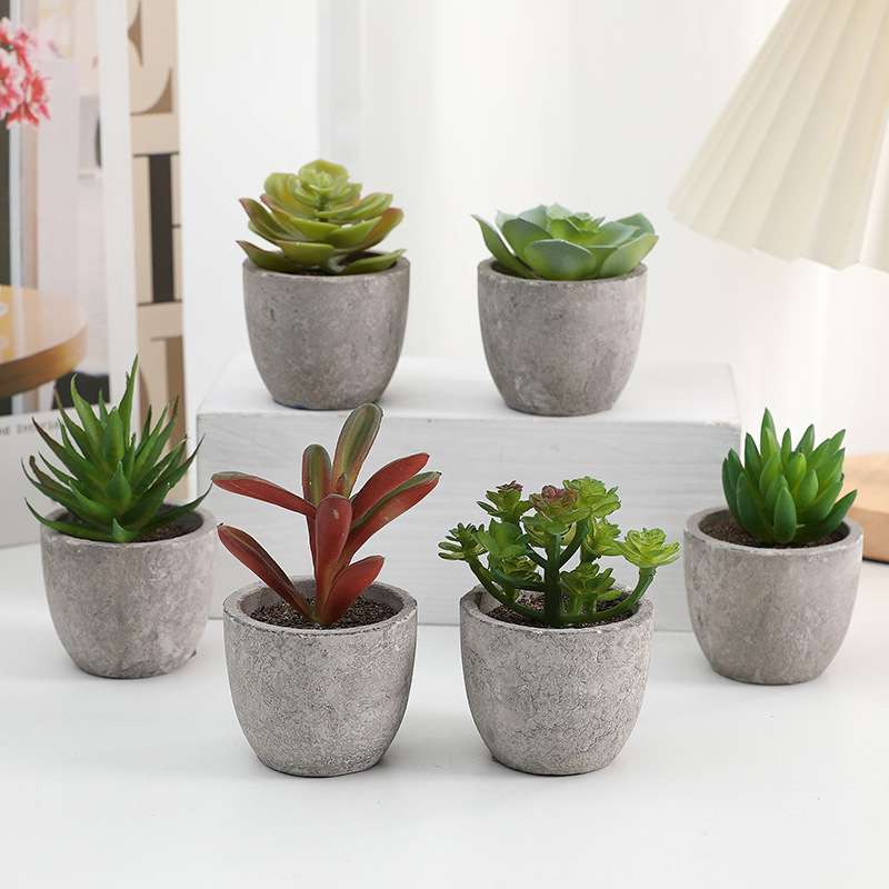 Simuliacinis vazoninis minkštimas, mėsingas dirbtinis bonsai iš „Amazon“ naujo darbalaukio kraštovaizdžio modeliavimo augalų didmeninė prekyba