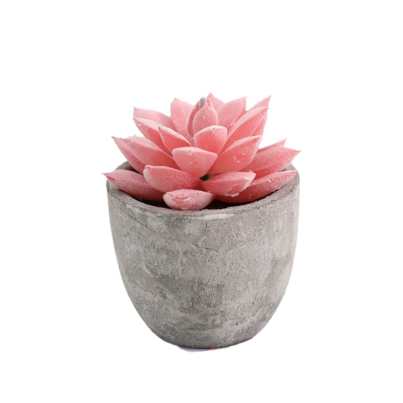 Simuliacinis vazoninis minkštimas, mėsingas dirbtinis bonsai iš „Amazon“ naujo darbalaukio kraštovaizdžio modeliavimo augalų didmeninė prekyba