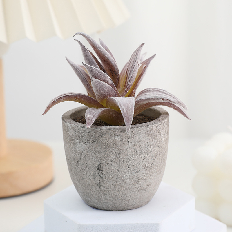 Simuliacinis vazoninis minkštimas, mėsingas dirbtinis bonsai iš „Amazon“ naujo darbalaukio kraštovaizdžio modeliavimo augalų didmeninė prekyba