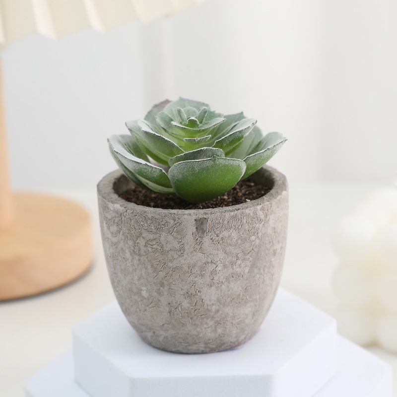 Simuliacinis vazoninis minkštimas, mėsingas dirbtinis bonsai iš „Amazon“ naujo darbalaukio kraštovaizdžio modeliavimo augalų didmeninė prekyba