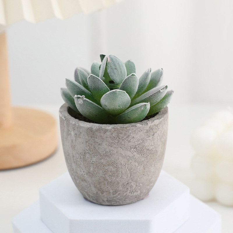 Simuliacinis vazoninis minkštimas, mėsingas dirbtinis bonsai iš „Amazon“ naujo darbalaukio kraštovaizdžio modeliavimo augalų didmeninė prekyba