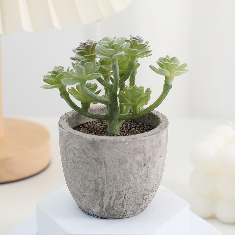 Simuliacinis vazoninis minkštimas, mėsingas dirbtinis bonsai iš „Amazon“ naujo darbalaukio kraštovaizdžio modeliavimo augalų didmeninė prekyba