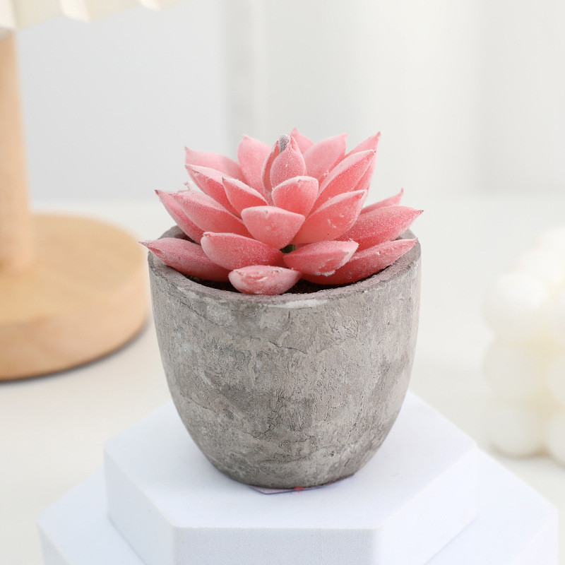 Simuliacinis vazoninis minkštimas, mėsingas dirbtinis bonsai iš „Amazon“ naujo darbalaukio kraštovaizdžio modeliavimo augalų didmeninė prekyba