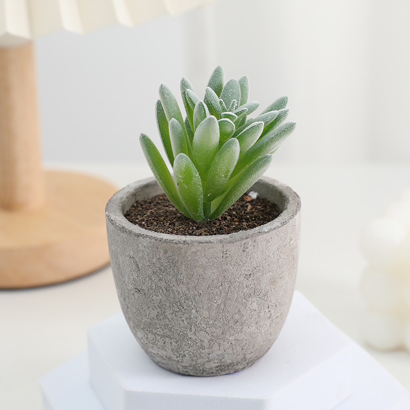 Simuliacinis vazoninis minkštimas, mėsingas dirbtinis bonsai iš „Amazon“ naujo darbalaukio kraštovaizdžio modeliavimo augalų didmeninė prekyba