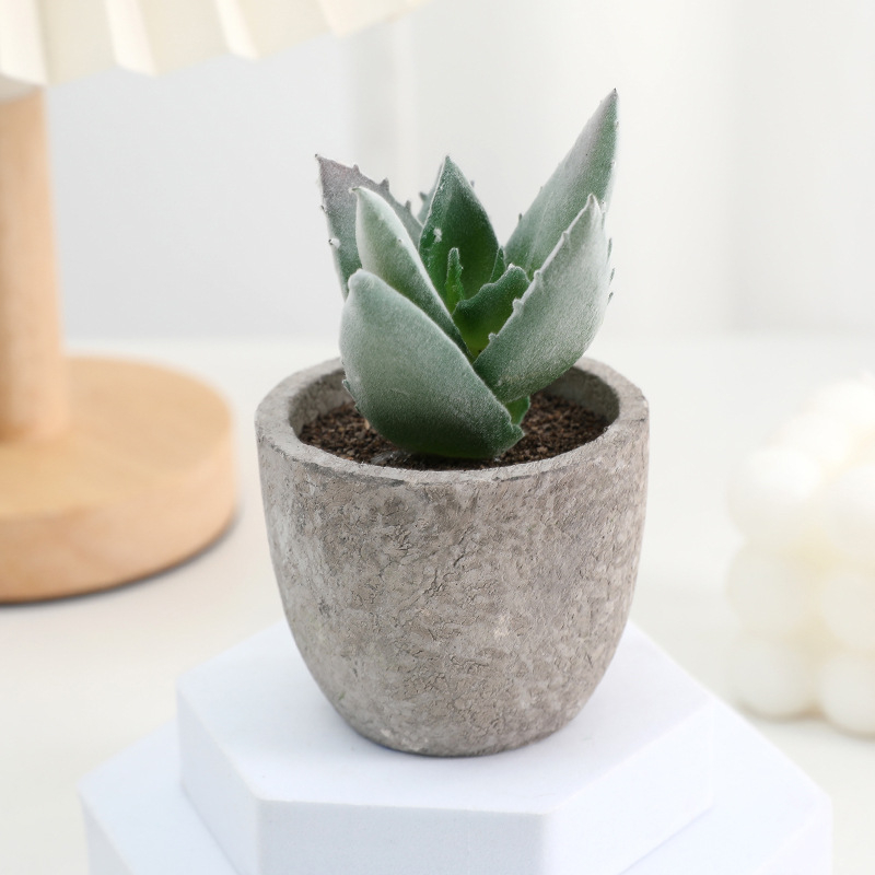 Simuliacinis vazoninis minkštimas, mėsingas dirbtinis bonsai iš „Amazon“ naujo darbalaukio kraštovaizdžio modeliavimo augalų didmeninė prekyba