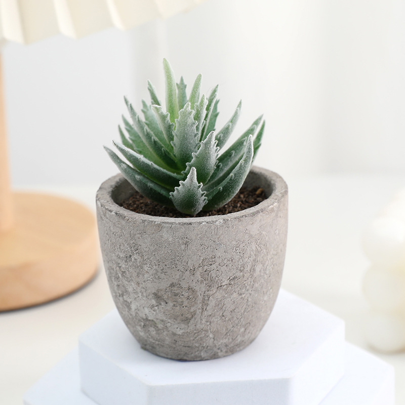 Simuliacinis vazoninis minkštimas, mėsingas dirbtinis bonsai iš „Amazon“ naujo darbalaukio kraštovaizdžio modeliavimo augalų didmeninė prekyba