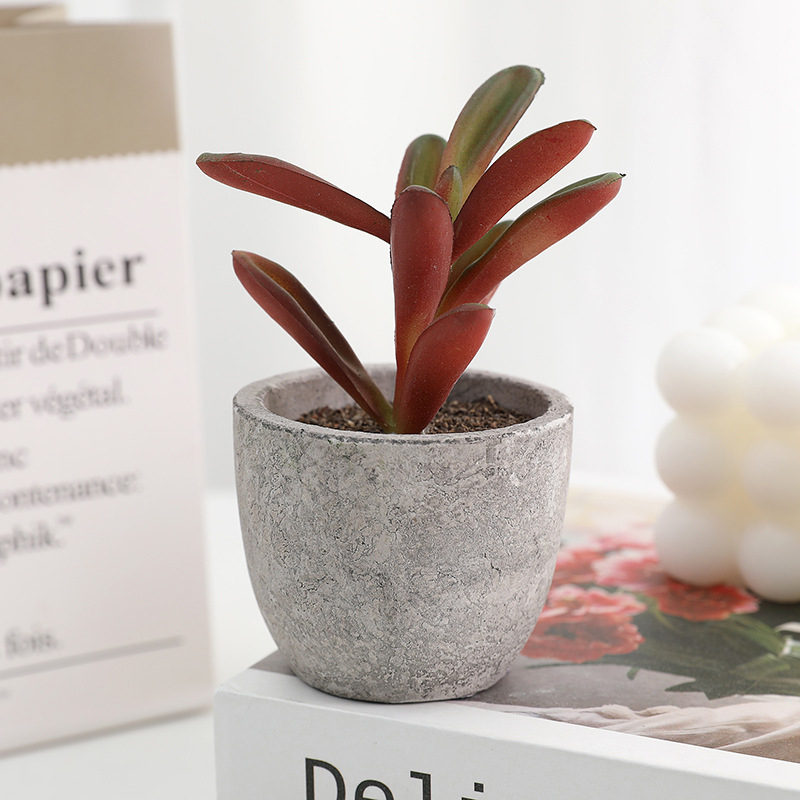 Simuliacinis vazoninis minkštimas, mėsingas dirbtinis bonsai iš „Amazon“ naujo darbalaukio kraštovaizdžio modeliavimo augalų didmeninė prekyba