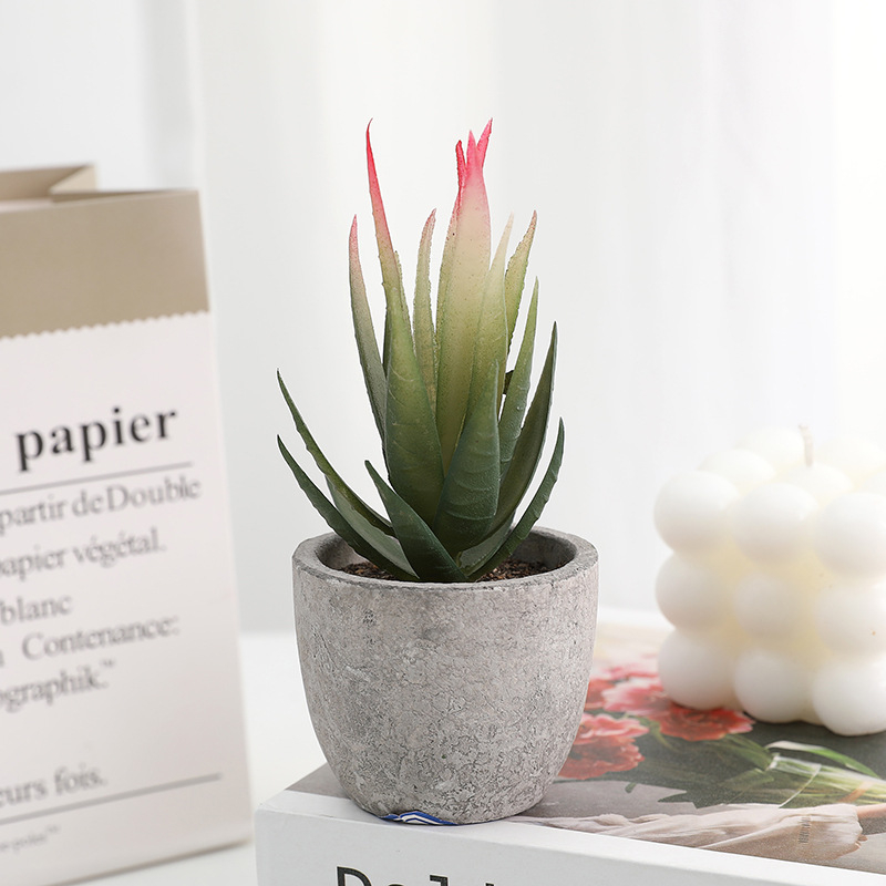 Simuliacinis vazoninis minkštimas, mėsingas dirbtinis bonsai iš „Amazon“ naujo darbalaukio kraštovaizdžio modeliavimo augalų didmeninė prekyba