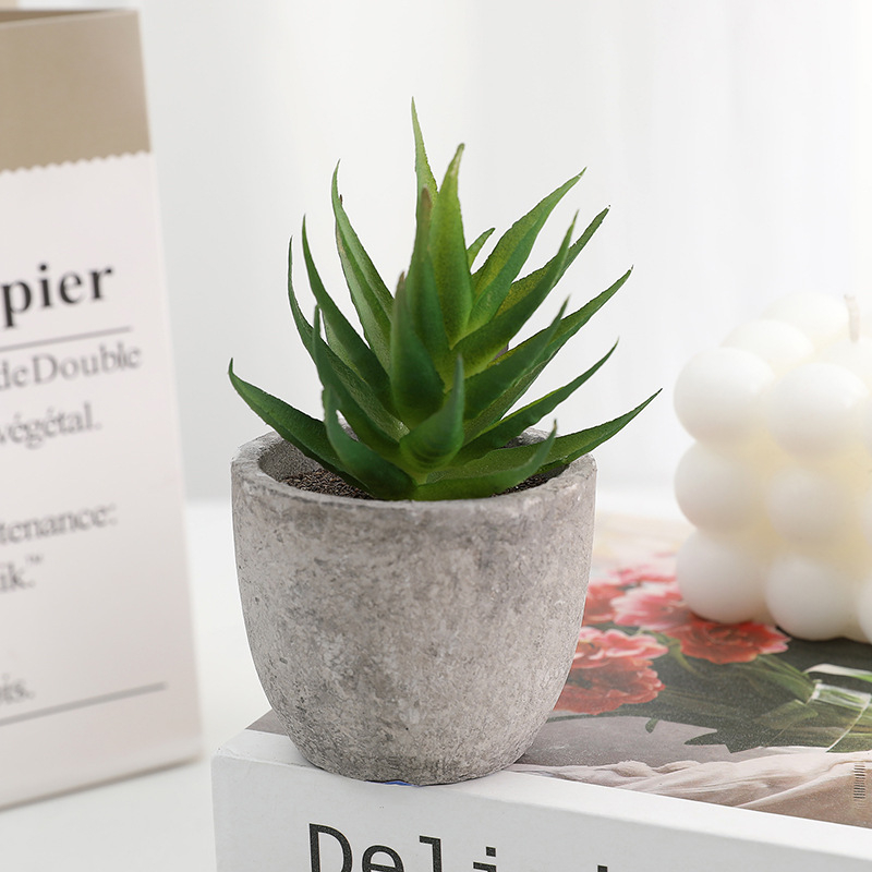 Simuliacinis vazoninis minkštimas, mėsingas dirbtinis bonsai iš „Amazon“ naujo darbalaukio kraštovaizdžio modeliavimo augalų didmeninė prekyba