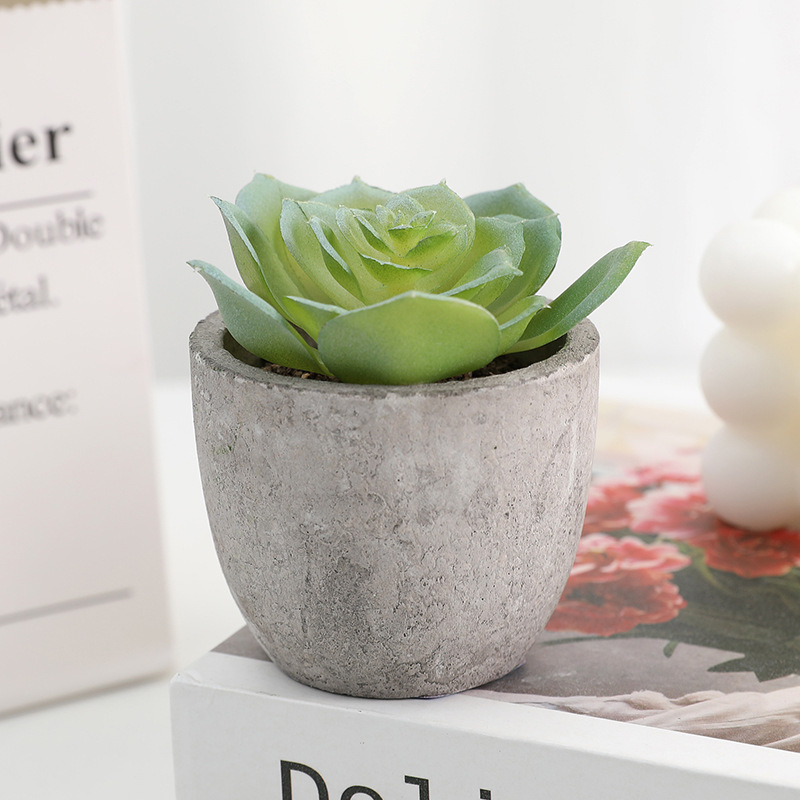 Simuliacinis vazoninis minkštimas, mėsingas dirbtinis bonsai iš „Amazon“ naujo darbalaukio kraštovaizdžio modeliavimo augalų didmeninė prekyba