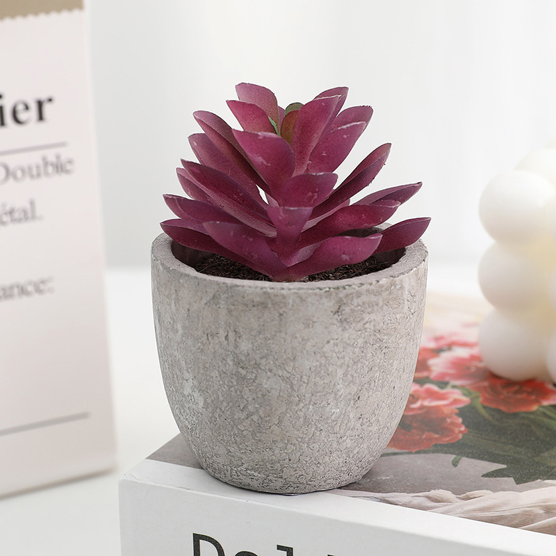 Simuliacinis vazoninis minkštimas, mėsingas dirbtinis bonsai iš „Amazon“ naujo darbalaukio kraštovaizdžio modeliavimo augalų didmeninė prekyba