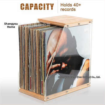 Puidust plaadiriiul, lauakaunistused, läbipaistev vinüülplaatide vitriin, teibist raamatute hoiukarp, täispuidust hoiukarp