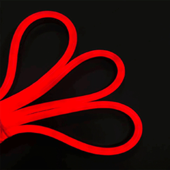 RGB neoninė šviesos juosta 110V spalvinga nuotolinio valdymo pulto spalvas keičianti lauko vandeniui atspari silikoninė šviesa Taivano amerikietiška spalvas keičianti šviesos juosta