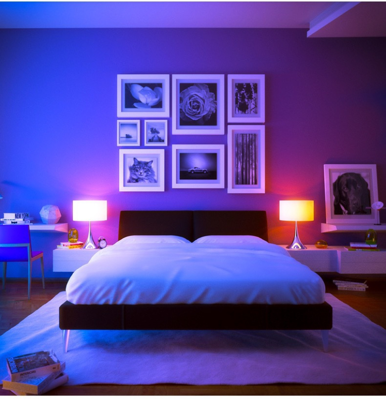 RGB neoninė šviesos juosta 110V spalvinga nuotolinio valdymo pulto spalvas keičianti lauko vandeniui atspari silikoninė šviesa Taivano amerikietiška spalvas keičianti šviesos juosta