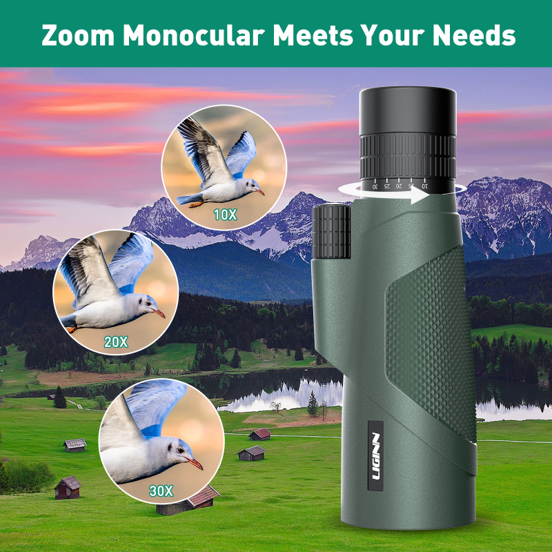 Gyári nagykereskedelmi XHZ8-tengeri oroszlánfóka zoom teleszkóp