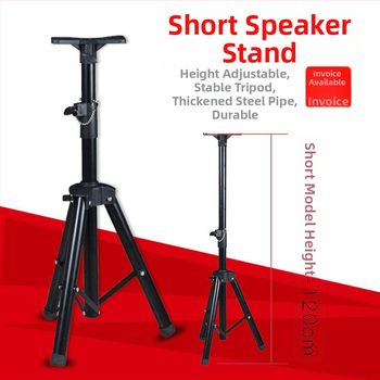 Lühike põrandakolmnurkne kõlariklamber väikese suurusega kõlariklamber lühikese lava KTV statiivi hulgimüügitootjad