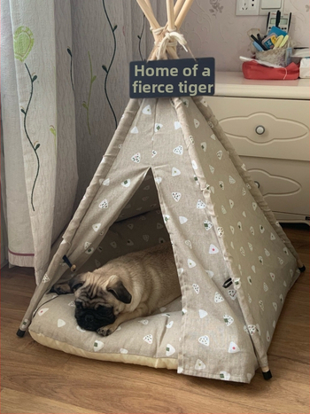 Σκηνή Colla για κατοικίδια Grey Eyes, μεσαίου και μικρού μεγέθους, φωλιά για γάτες, λινό ύφασμα, ξύλινη φωλιά κατοικίδιων