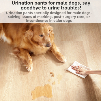 Hingav ja veekindel isaskoera uriinikogumiskott, automaatne uriinikogumisaluspesu isastele koertele, reguleeritava elastse ribaga lemmikloomade aluspesu