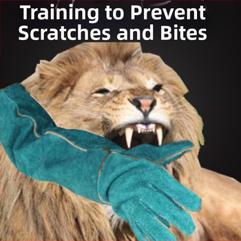 Lemmikloomade hammustusvastane treening kassidele ja koertele Lemmikloomade suplemine Kriimustusvastane hammustusvastane puhastus Massaažikindad Massaažihari Paksendatud loomanahast