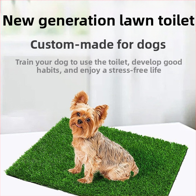 Amazon Hot Pet Dog Toilet Treat Mat Dog Kennel Summer AliExpress Hot Transgranic Foreign Trade Workers