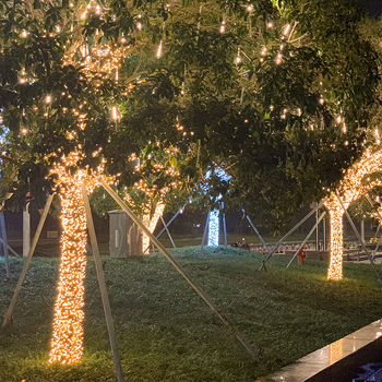 Saulės energija varomos LED girliandos, kiemo dekoravimo šviestuvai, „Gypsophila“ lauko inžinerinis apšvietimas, šventinis LED girliandų didmeninė prekyba