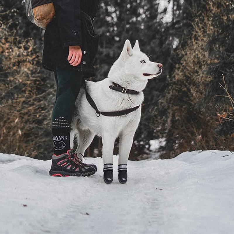 Šaltinių gamintojai, gaminantys šunų batus, tiekiantys tarpvalstybinį tiekimą šunų batams, apsaugantiems nuo vandens purslų, gamina neslystančius naminių gyvūnėlių batus