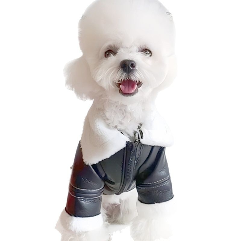 Odjeća za pse, zimska topla, za male i srednje pse, plus baršunasti kožni kaput, šnaucer, francuski dou teddy, višenamjenski kožni pamučni kaput