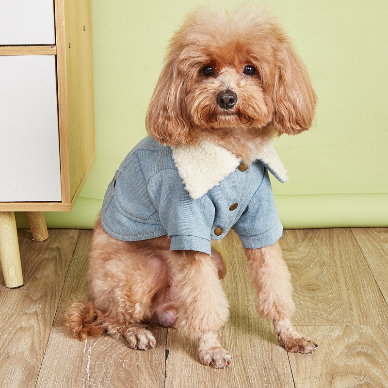 Állateledel nagykereskedelem macska- és kutyaruhák őszi-téli báránygyapjú polár polár farmerkabát egyrészes házhozszállítás