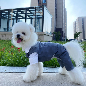 Lemmiklooma kassi ja koera ülikond kleit kevadeks ja suveks õhuke väikestele koertele peigmehe kleit hall härrasmehe ülikond neljajalgne ülikond