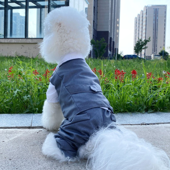 Φόρεμα για κατοικίδια, κοστούμι γάτας και σκύλου, άνοιξη και καλοκαίρι, λεπτό, φόρεμα γαμπρού για μικρά σκυλιά, γκρι κοστούμι τζέντλεμαν, τετράποδο κοστούμι