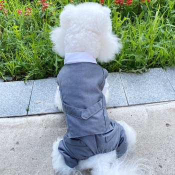 Φόρεμα για κατοικίδια, κοστούμι γάτας και σκύλου, άνοιξη και καλοκαίρι, λεπτό, φόρεμα γαμπρού για μικρά σκυλιά, γκρι κοστούμι τζέντλεμαν, τετράποδο κοστούμι