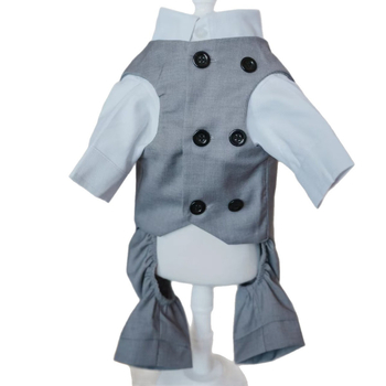 Φόρεμα για κατοικίδια, κοστούμι γάτας και σκύλου, άνοιξη και καλοκαίρι, λεπτό, φόρεμα γαμπρού για μικρά σκυλιά, γκρι κοστούμι τζέντλεμαν, τετράποδο κοστούμι