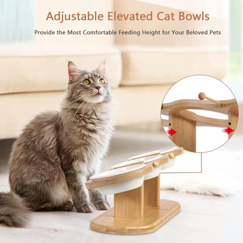 Kõrgendatud keraamilised kassikausid kahe reguleeritava kõrgusega koerakausihoidja ja kolme keraamilise kausikomplektiga