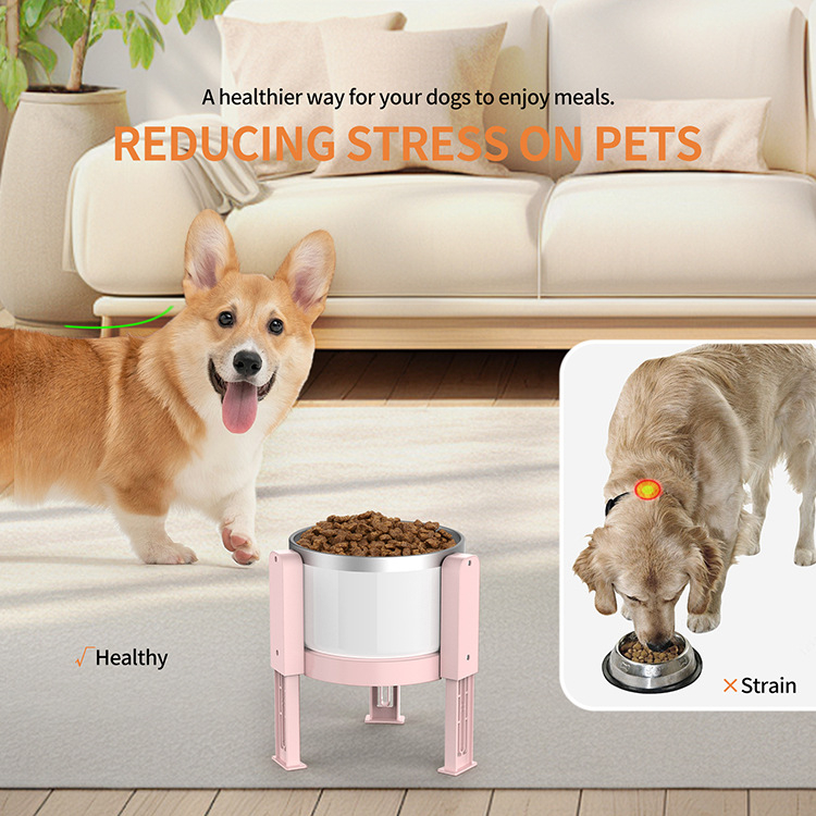 25 aastat piiriülest lemmikloomade kategooriat Kassi- ja koerasöögikausi hoidik Teleskoopiline libisemisvastane lemmikloomakausi hoidik Söötmis- ja veekausi hoidik