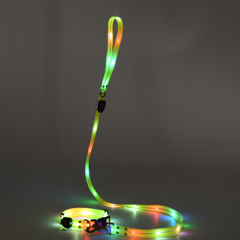 LED-valgustav koerakäimise kaelarihm USB-laetav välklambiga kaelarihm tõmbamisnööriga lemmikloomale kadumisvastane LED-kaelarihm