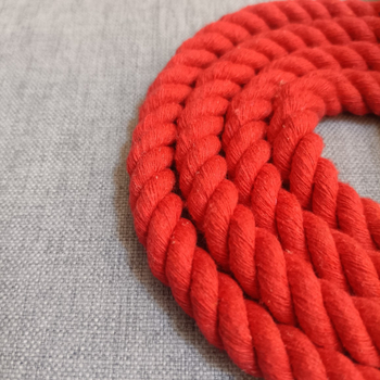 Piiriülene pikkus 150 cm laius 12 mm värviline valge puuvillane köis nahkkäepidemega lemmiklooma köis koerarihma saab kohandada