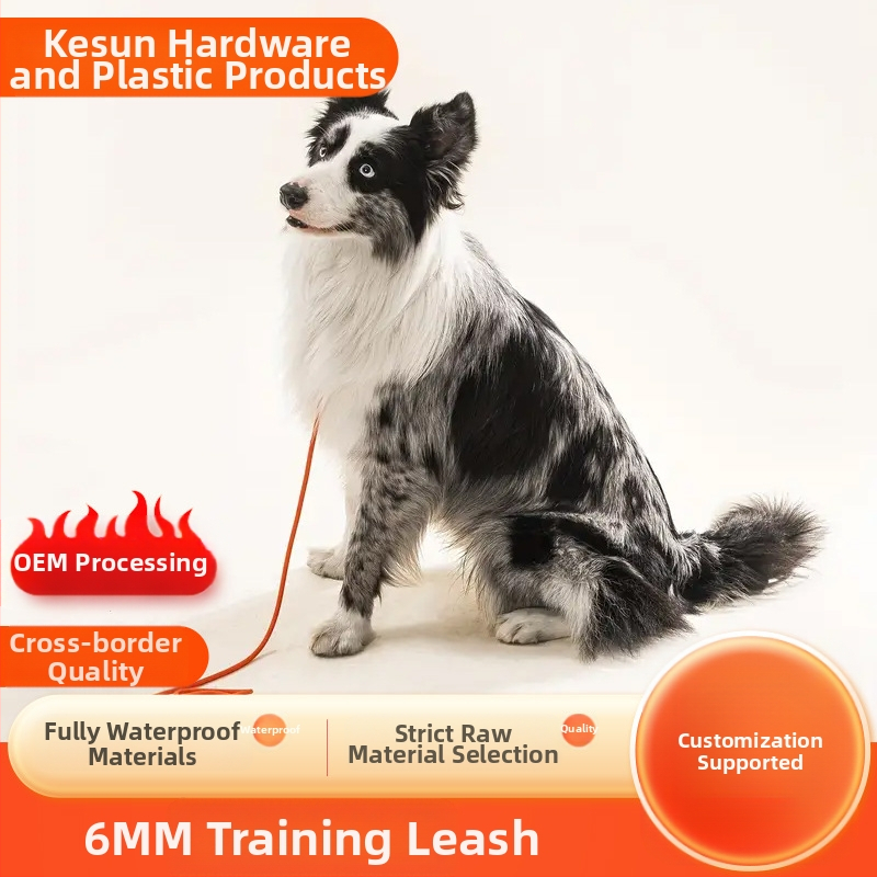 6 mm lemmikloomade treeningköis pikendatud taktikalise võistluskoera rihmaga plahvatuskindel kass väikestele koertele jalutamiseks mõeldud artefakt