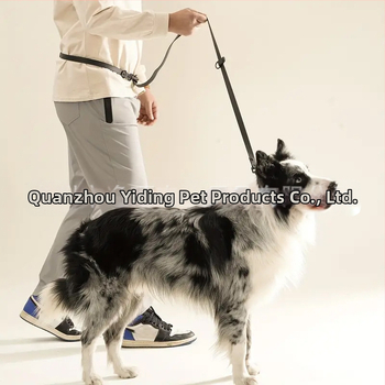 Multifunktsionaalne veojõuköis, reguleeritav vöökoht, koeraköis, PVC veekindel, hammustusvastane koerakaelarihm, koera veojõuköie tõmberihm